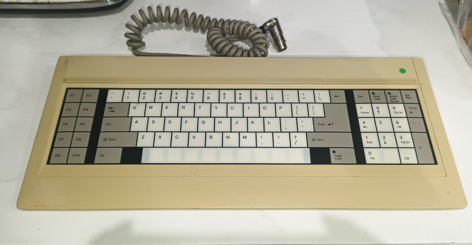 v1|167248335737|0