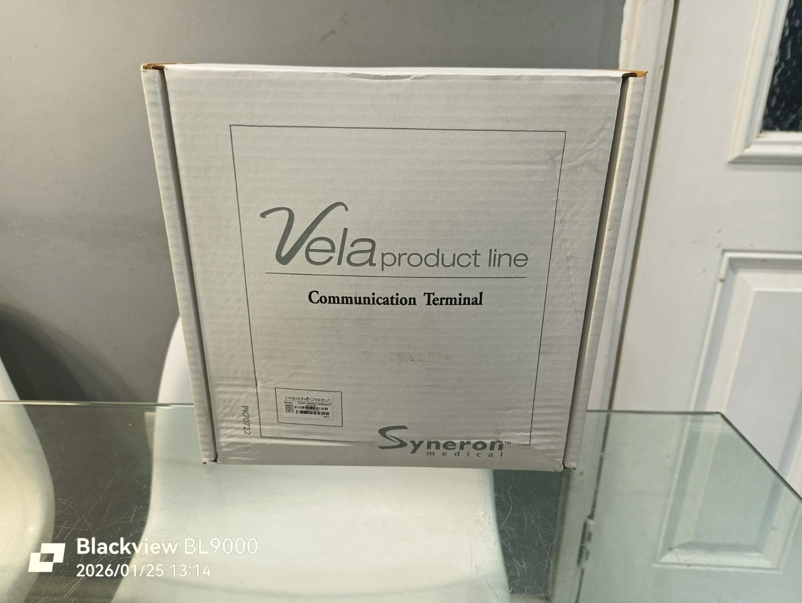 v1|168110039831|0